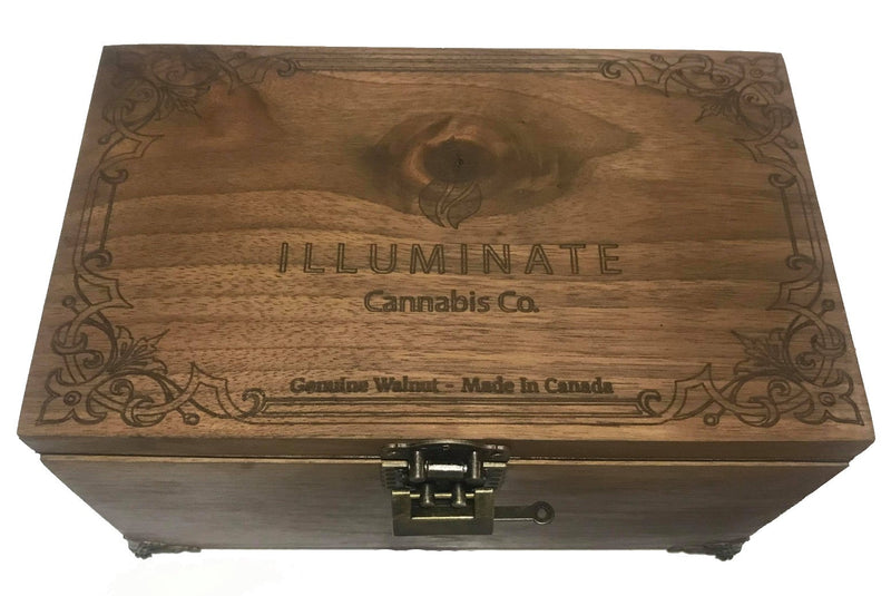 Walnut Humidor (Small)